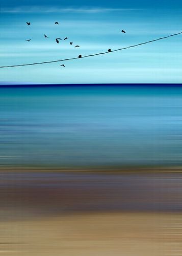 CRETAN SEA & BIRDS II v2