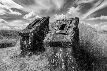 Château France (noir et blanc)