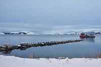 Natuur en visserij te Kirkenes, Noorwegen