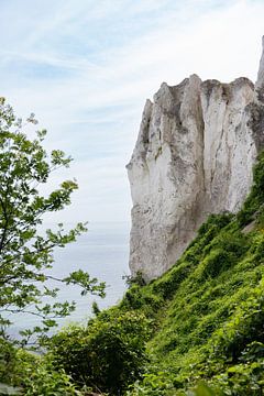 Large chalk cliffs of Møns Klint by Laura Bosch