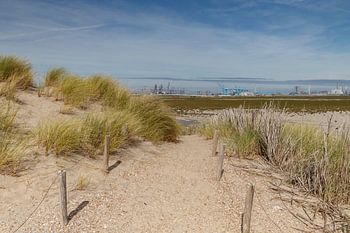 dunes hollandaises