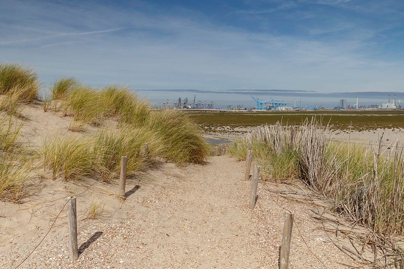 Dutch dunes by Menno Schaefer