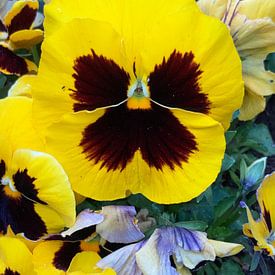 Flowerpower 01 van Richard Brinkman