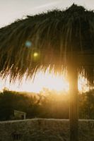 Sunrise under thatched umbrella