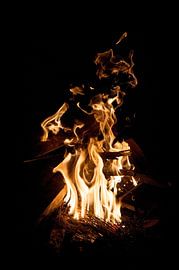 Campfire by Mariska Hanegraaf