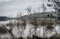 Water landscape