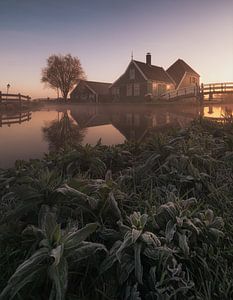 Netherland