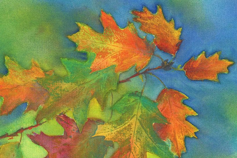 Buntes Herbstlaub einer Eiche von Karen Kaspar