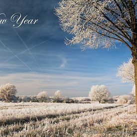 Happy New Year by KS60one Photography (Kurt Schmäh)