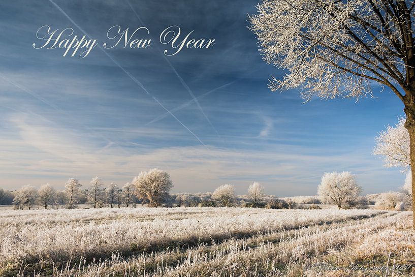 Happy New Year by KS60one Photography (Kurt Schmäh)
