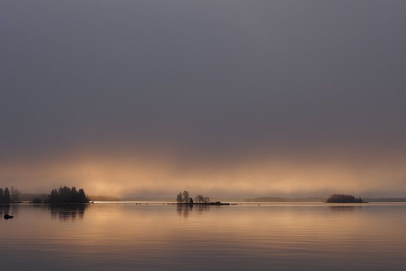Misty morning by Marjon van Vuuren