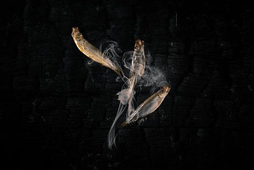 Wad's & Sea, smoked sprats from the Wadden Sea