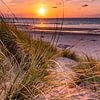 Sunset in the dunes of Nieuwvliet (Zeeland) by Rick van de Kraats