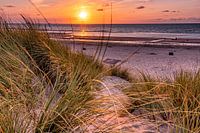 Zonsondergang in de duinen van Nieuwvliet (Zeeland)