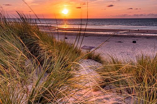 Zonsondergang in de duinen van Nieuwvliet (Zeeland)