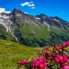 Panorama montagneux du massif du Granatspitz au printemps, avec des rhododendrons en fleurs sur Holger W. Spieker