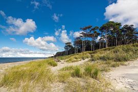 Weststrand auf dem Darß von Reiner Würz / RWFotoArt
