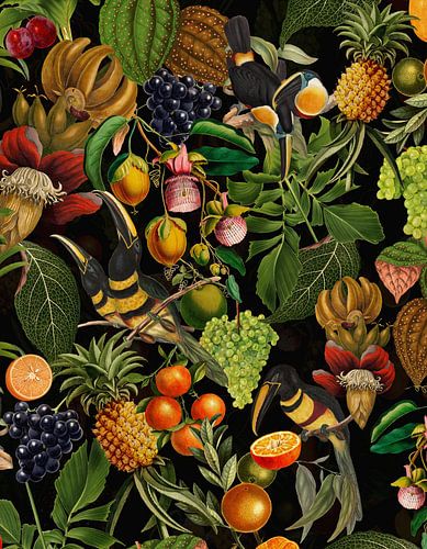 Toucan exotique de minuit et jungle de fruits