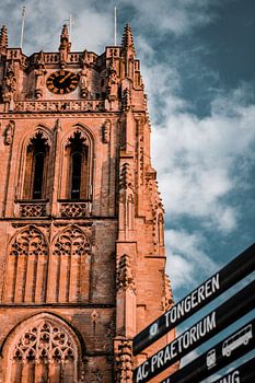 Basilika von Tongres 2021