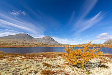 Doralen herfst van Sven-Erik Arndt