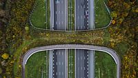 Ecoduct.