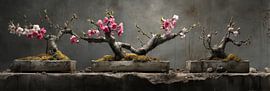 Triptychon Bonsai mit rosa und weißen Blüten Stilleben-Panorama von Digitale Schilderijen