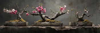 Triptychon Bonsai mit rosa und weißen Blüten Stilleben-Panorama