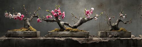 Drieluik bonsai met roze en witte bloesem stilleven panorama