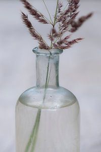 Die Einfachheit von Gras in einer Flasche