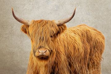 The highlander - art van John Goossens Photography