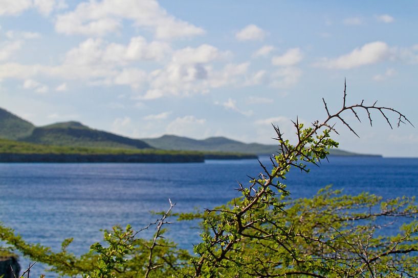 Curaçao West Point by rene marcel originals