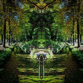 Magisch bos van Lavierenphotography Mirrorworks