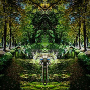 Magical forest by Lavierenphotography Mirrorworks