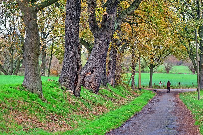 Herfstwandeling van Edgar Schermaul