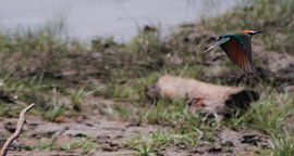 Take-off by BL Photography