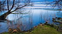 Biesbosch Panorama