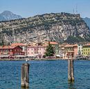 GARDASEE Am Ufer von Torbole  von Melanie Viola Miniaturansicht