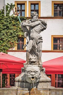 De Neptunusfontein bevindt zich in Görlitz, Duitsland. van Gunter Kirsch