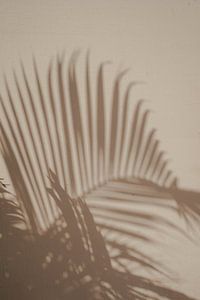 Schaduwen van palm | reisfotografie fine art print | India
