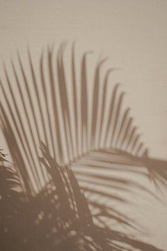 Schaduwen van palm | reisfotografie fine art print | India van Kimberley Jekel