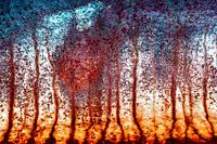 Explosie