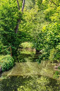 Biotope in the valley of the river Flies