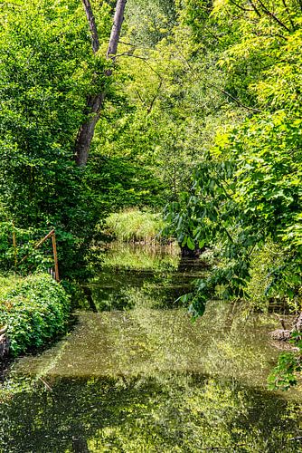 Biotope dans la vallée de la Flies
