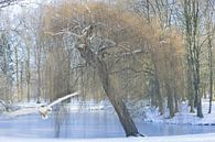 Winterlandschap van Jacqueline Zwijnen thumbnail