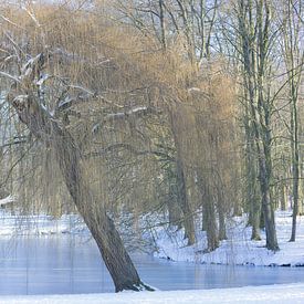Winterlandschap van Jacqueline Zwijnen
