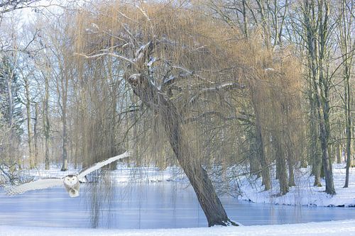 Winterlandschap
