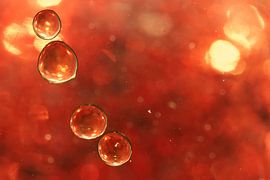 Öl auf farbigem Wasser von Ronny Struyf