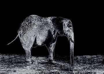 Elephant by Jose Lok