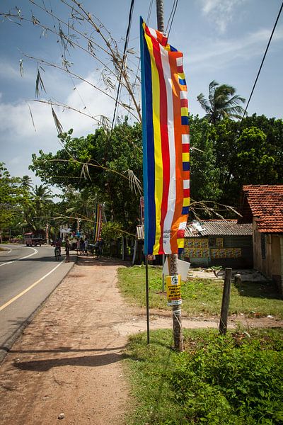 kleurrijke vlag, Boeddhisme, Sri Lanka. van Rony Coevoet