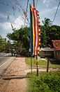 kleurrijke vlag, Boeddhisme, Sri Lanka. van Rony Coevoet thumbnail